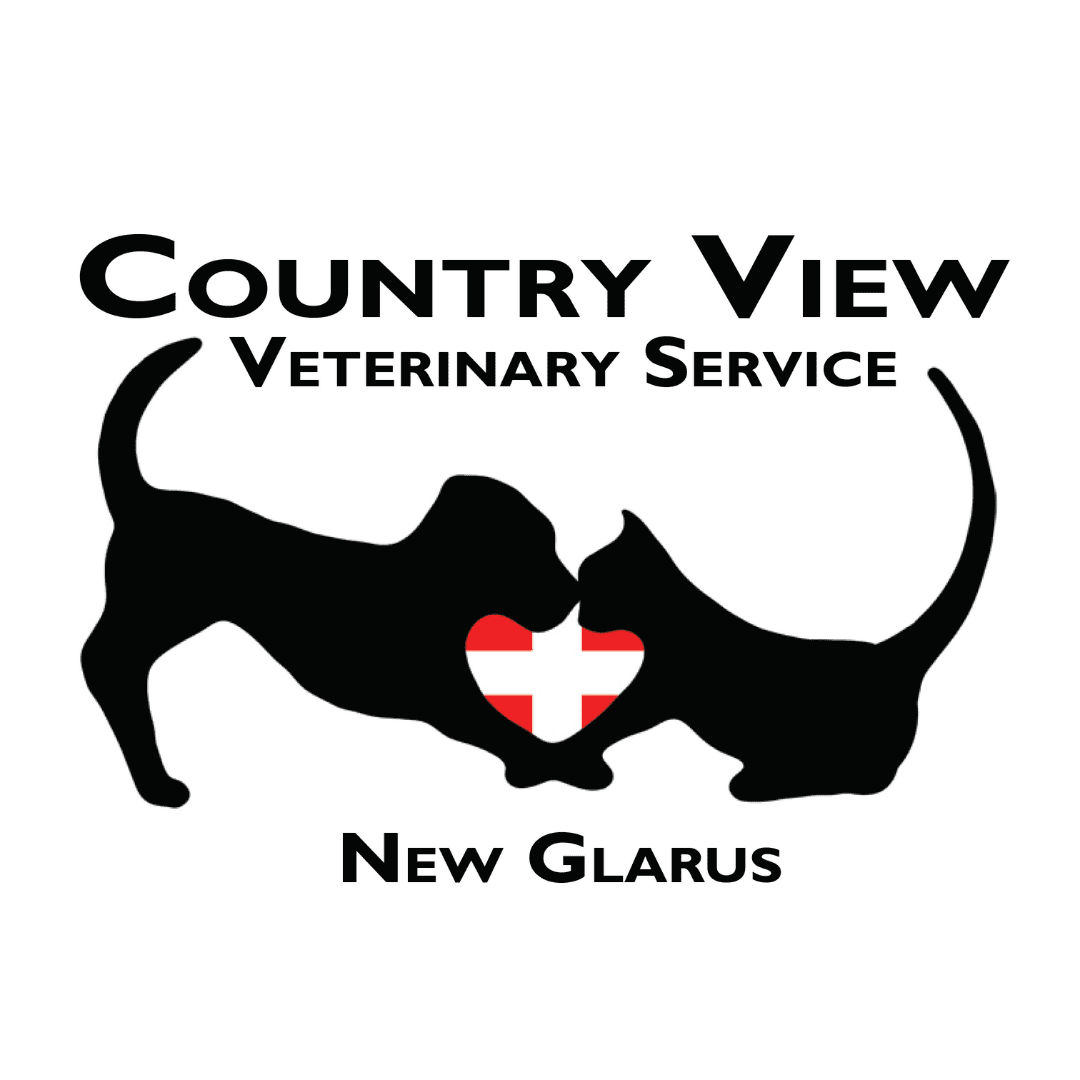 Country View NG logo
