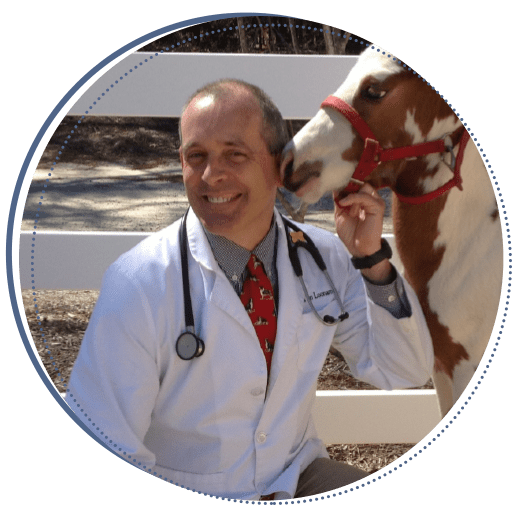 Dr-with-pony