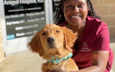 Teresa Dozier Heads to Veterinary School