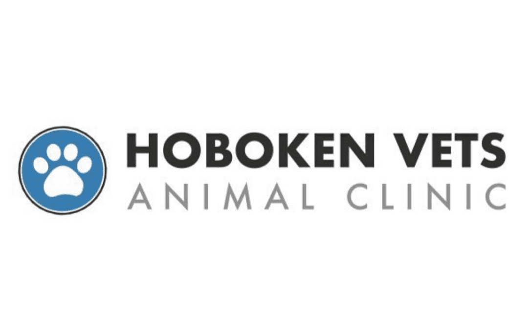 Hoboken Vets Animal Hospital