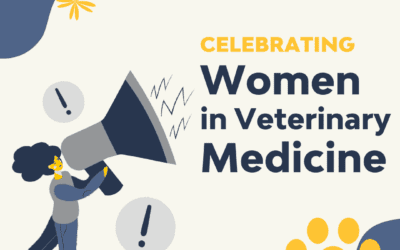 Celebrating Women Leading the Way in Veterinary Medicine