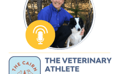 The Veterinary Athlete Podcast with Dr. Tim Loonam