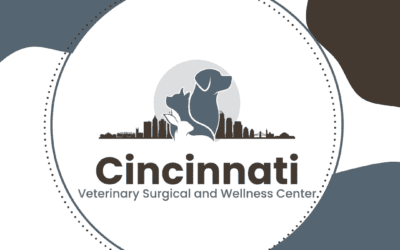 Cincinnati Veterinary Surgical and Wellness Center: Purrfectly New & Improved