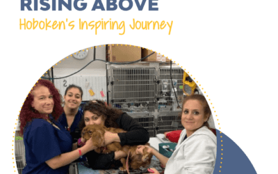 Rising Above: Hoboken’s Inspiring Journey