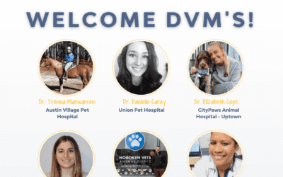 Welcoming DVMs in May and June!