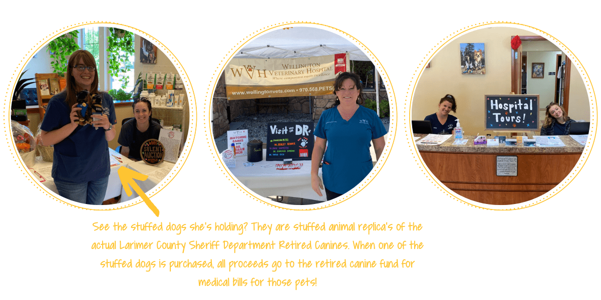 Community Day at Wellington Veterinary Hospital Encore Vet Group
