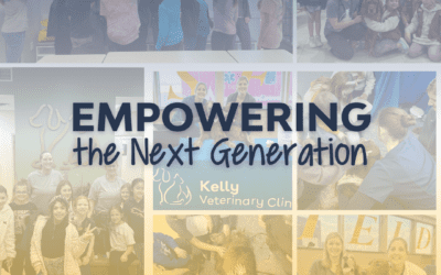 Empowering the Next Generation