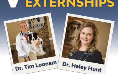 The Mecca for Externships: Grace Animal Hospital