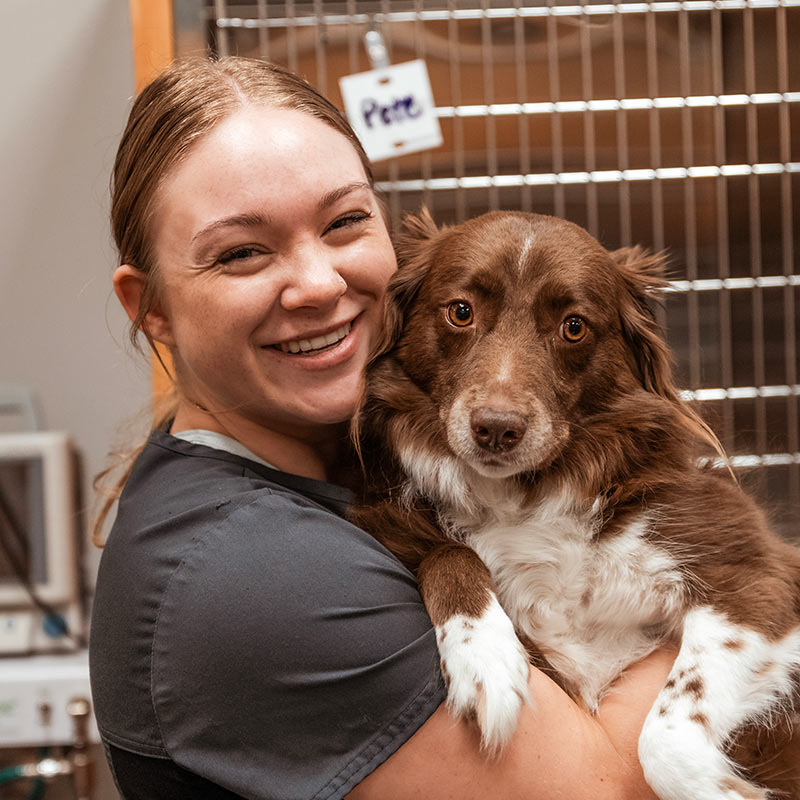 young veterinary professional grinning while holding a brown and white dog tightly