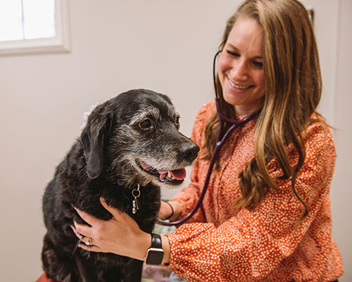 vet smiling and holding a black dog