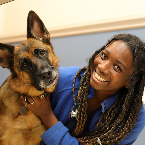 young veterinary professional holding a german shepherd dog and smiling