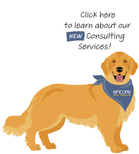 Abby the Golden with speech bubble above her head saying "Click here to learn about our NEW Consulting Services!"