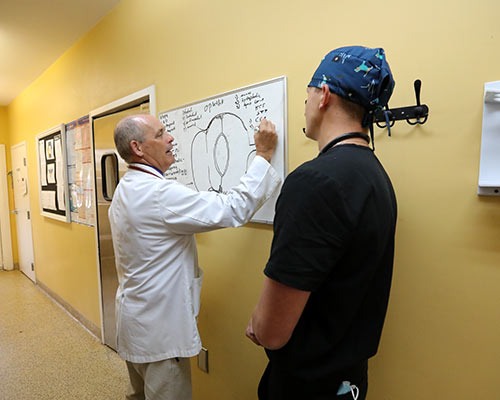 Dr. Loonam explaining a medical procedure to a young veterinary professional