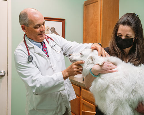 Dr. Tim Loonam examining a dog with the assistance of a vet tech