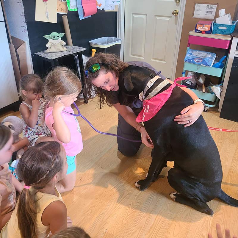 group of children gathered around a black dog wearing a red bandana as a vet helps them listen to his heartbeat with a stethoscope