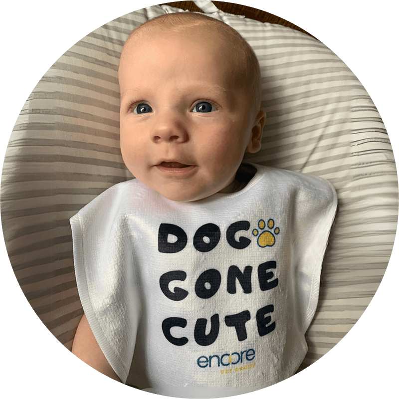 adorable baby wearing a bib that says "Dog gone cute" and has the Encore logo on it