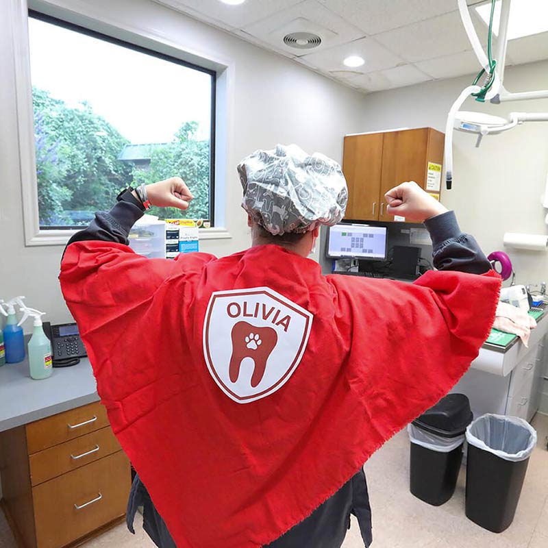 veterinarian dressed as a superhero with a red cape