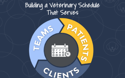 Building a Veterinary Schedule That Serves Patients, Clients, and Teams