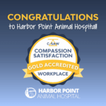 Blog image congratulating Harbor Point on achieving CSAW Accreditation.
