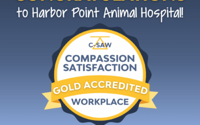 Harbor Point Animal Hospital’s Journey to CSAW Accreditation