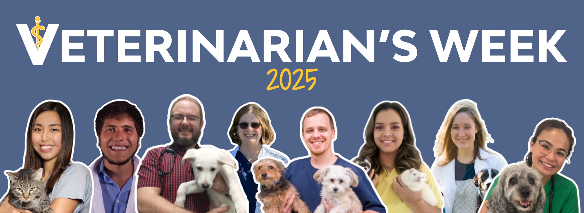 blog header - veterinarian's week