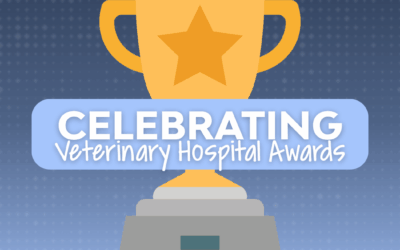 Celebrating Veterinary Hospital Awards: Encore Practices Shine Bright!