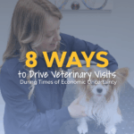 blog image with veterinarian and papillon