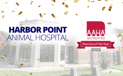 Harbor Point Animal Hospital Named AAHA’s 2025 Accredited Practice of the Year