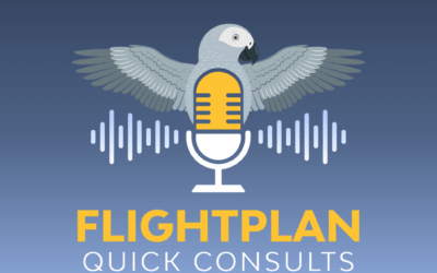 Introducing FlightPlan: Quick Consults — A New Podcast for Veterinary Leaders