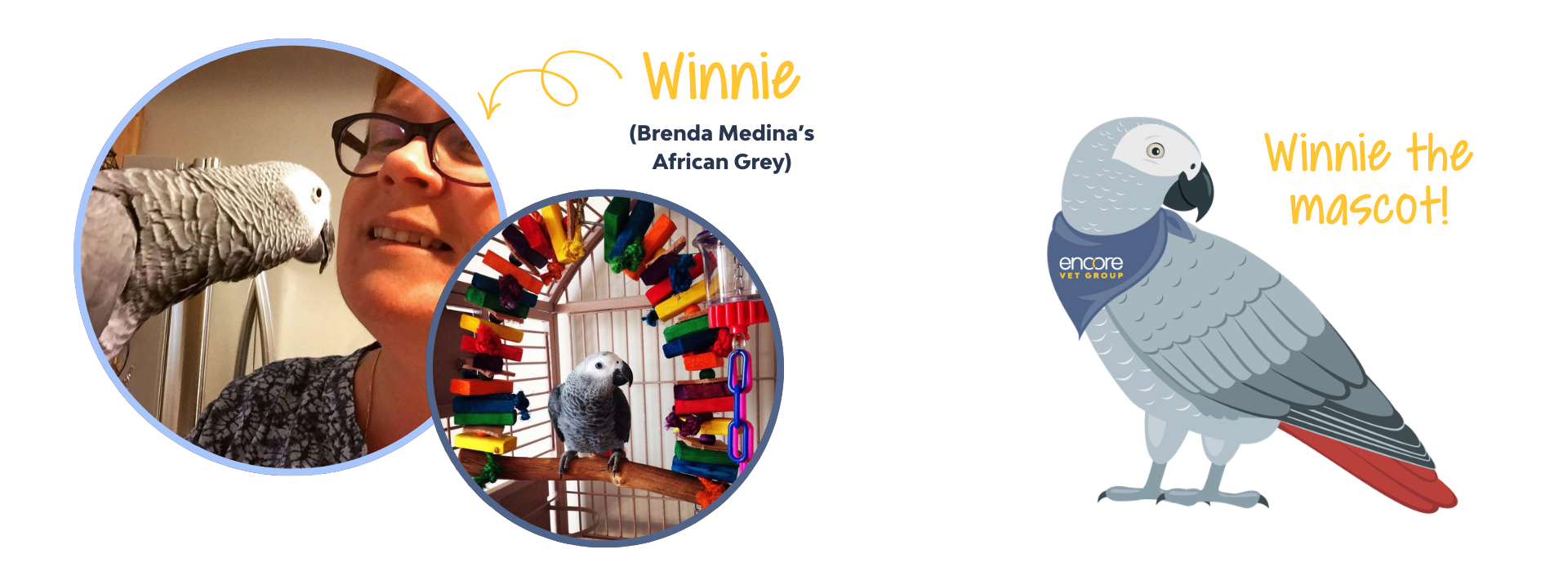 winnie the bird mascot photos