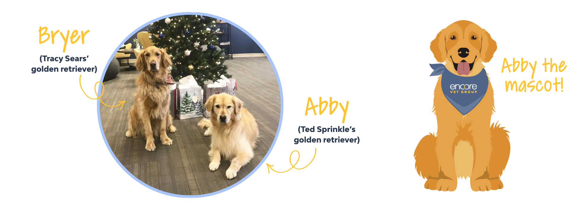 photo of Abby and Bryer the golden retrievers