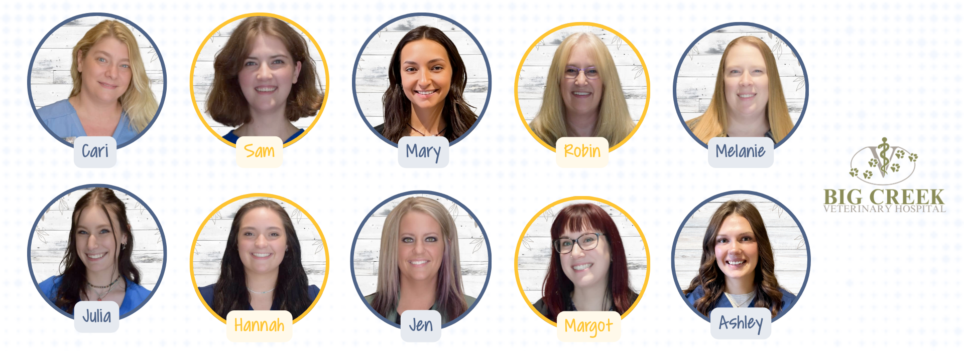 Big Creek Veterinary Assistant Team