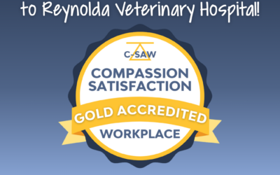 Reynolda Veterinary Hospital Earns Gold-Level Compassion Satisfaction Accreditation