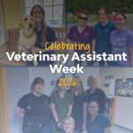 celebrating veterinary assistant week 2026 blog image
