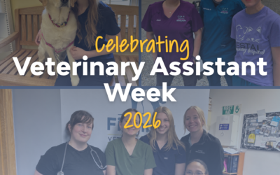 Celebrating Veterinary Assistant Week 2026