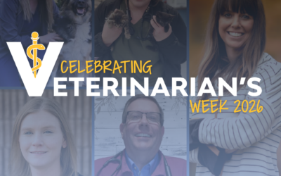 Celebrating Veterinarian’s Week 2026