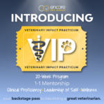 VIP Mentorship Program blog image