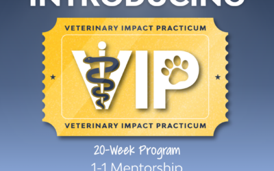 Your Backstage Pass to Year One: Introducing VIP Mentorship Program