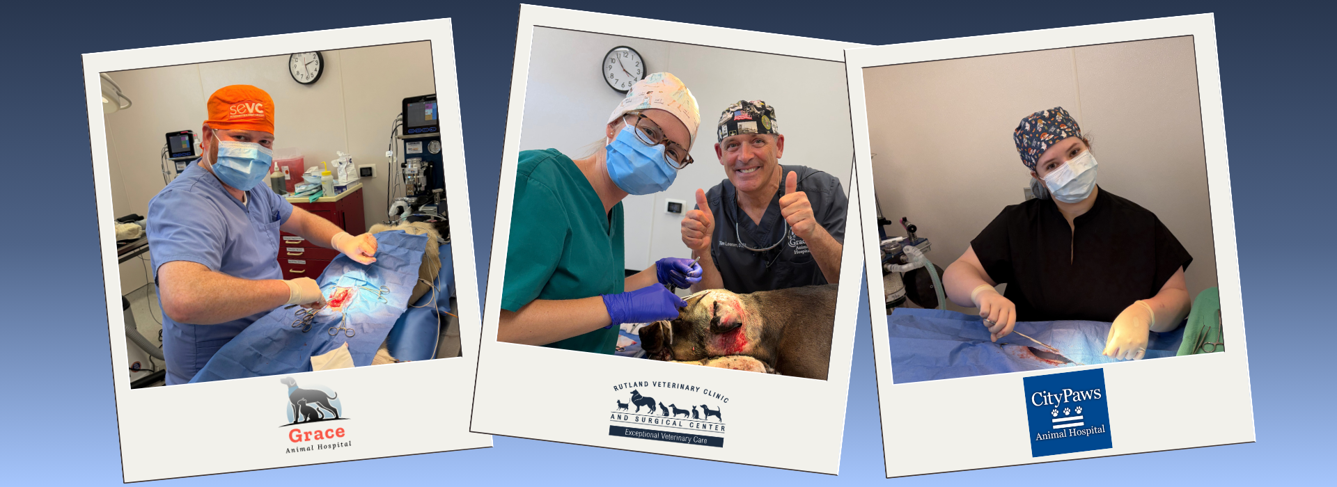 Encore Veterinarians at the spay/neuter clinic