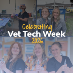celebrating vet tech week blog image