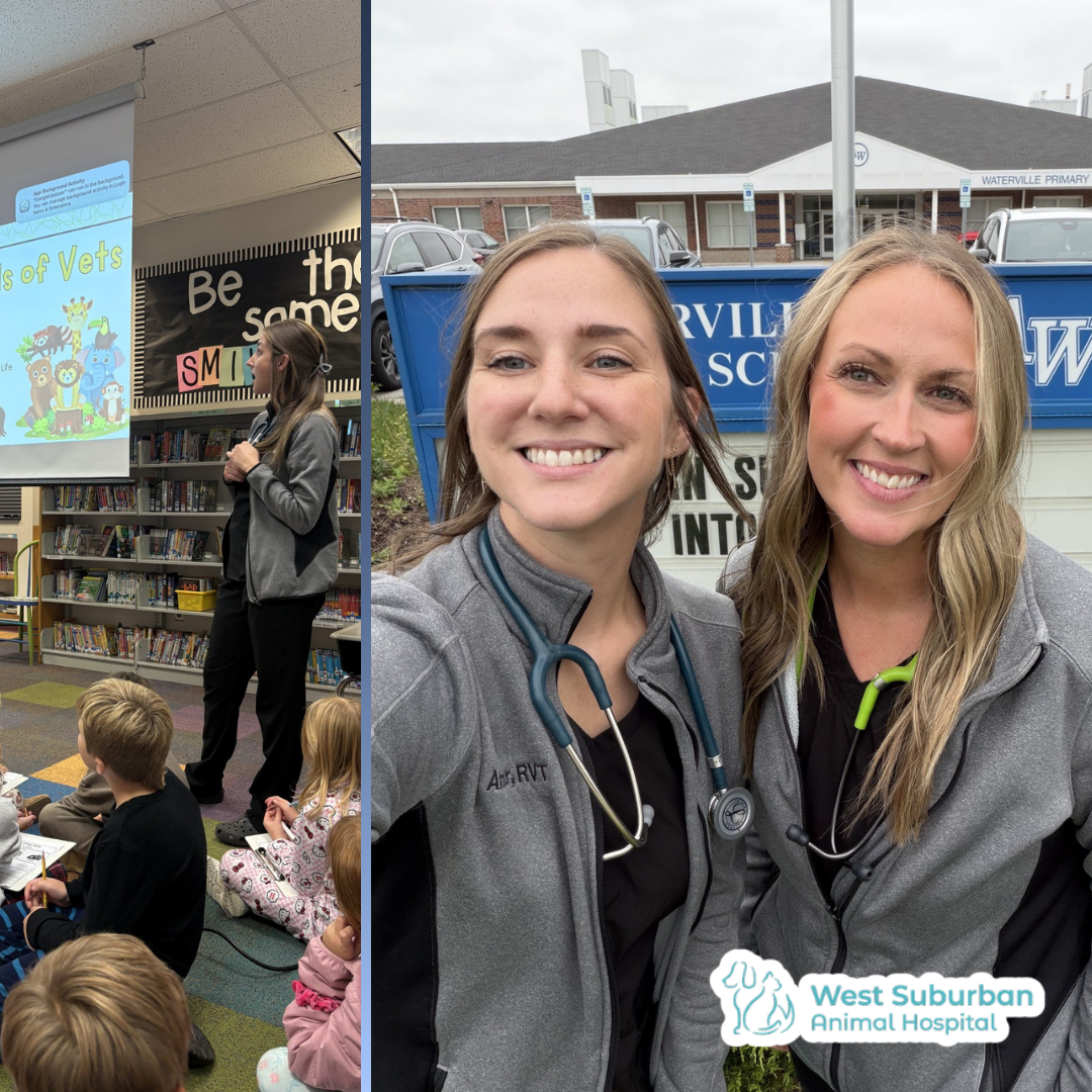 west suburban associate practice manager's visiting a school